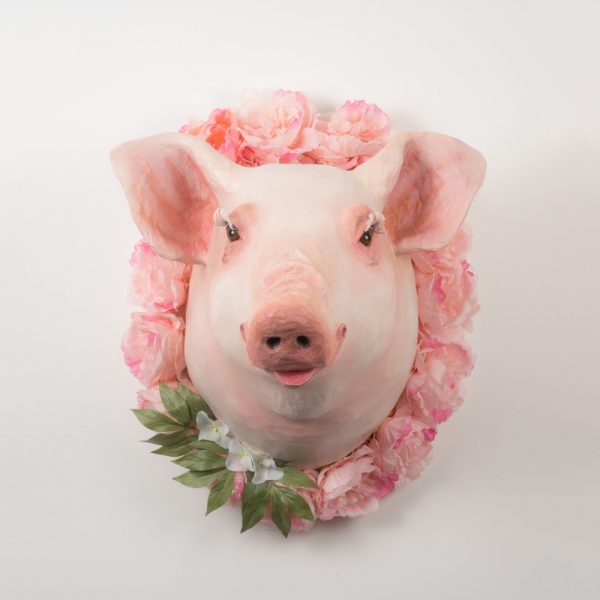 Eulalie the sow